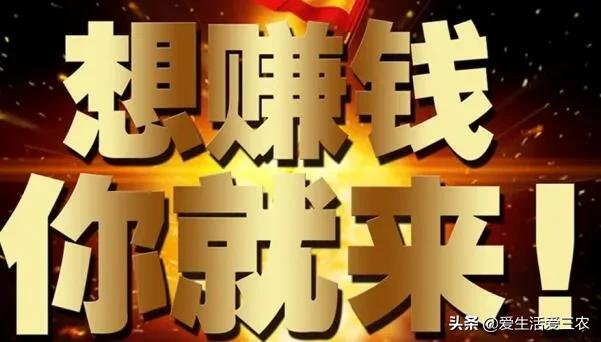 农村人干什么副业赚钱好,适合农村妇女在家挣钱的兼职