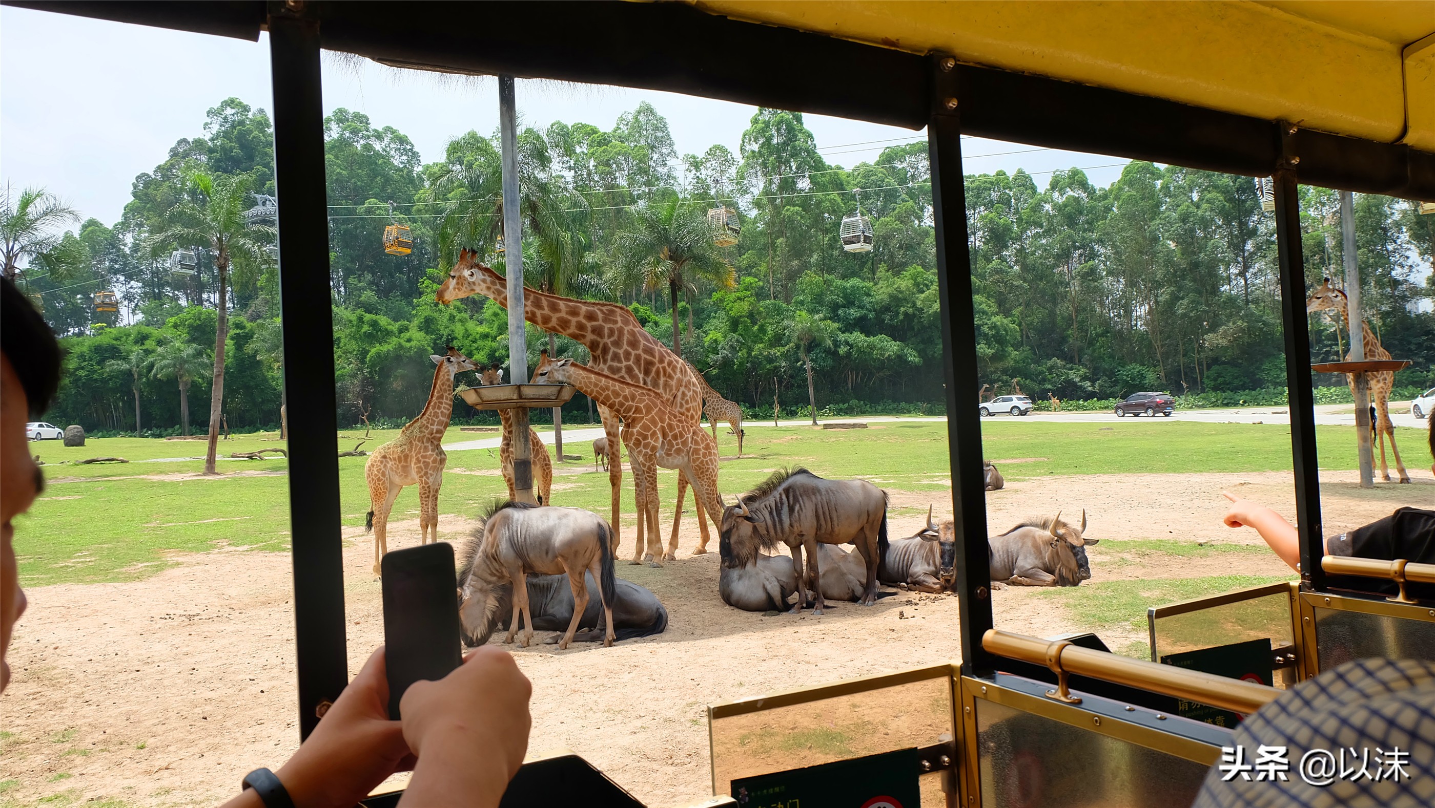 长隆野生动物世界游玩攻略,长隆野生动物世界带娃攻略