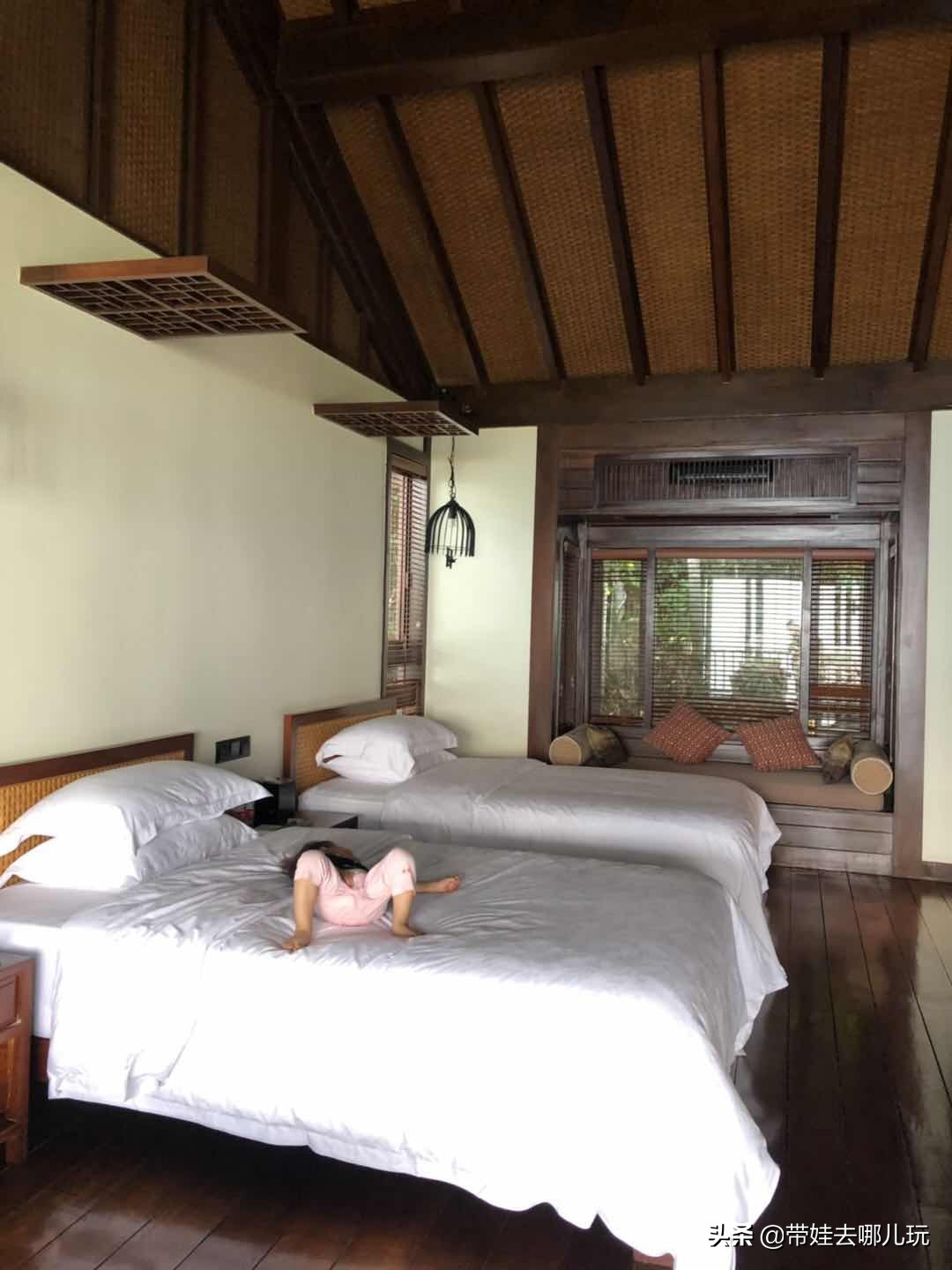 住三亚亚龙湾鸟巢酒店,亚龙湾森林热带天堂非诚勿扰