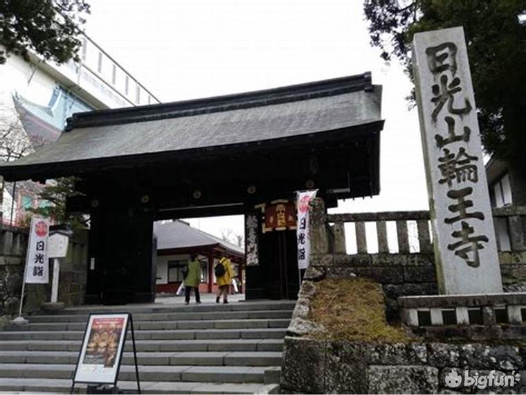 明日方舟种族考据,明日方舟考据党