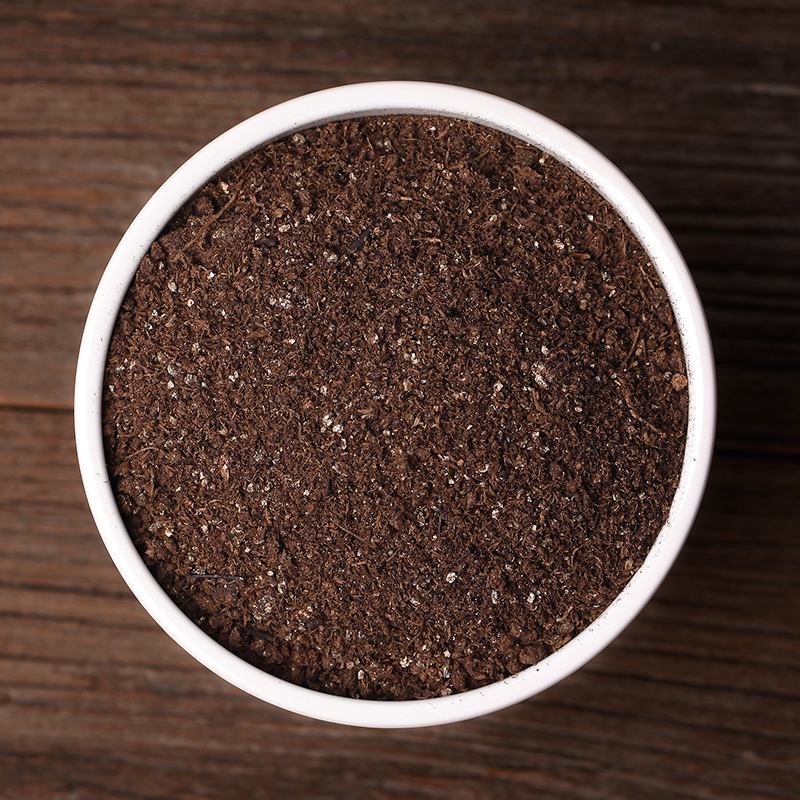 月季水浇多了黄叶了咋办,月季水浇多了嫩芽打蔫怎么办