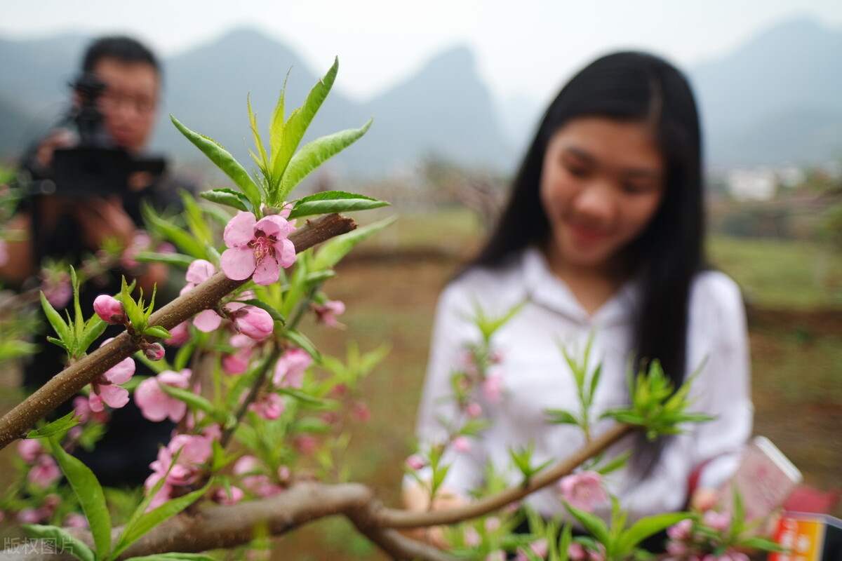 少年游历江湖,少年沉迷盗墓小说