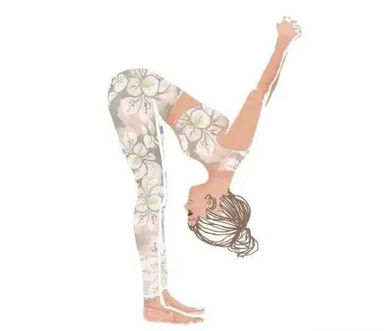 空中瑜伽是一种古老的瑜伽流派,瑜伽四大古典流派的修行方式