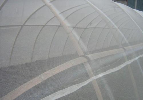 蔬菜大棚防虫网有必要装吗,山东蔬菜大棚用乙烯防虫网