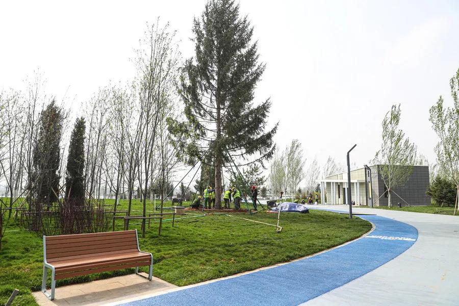 沈阳免费的森林公园,沈阳十大免费公园