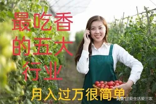 在农村干什么能赚10万左右,在农村做什么生意赚钱月赚50