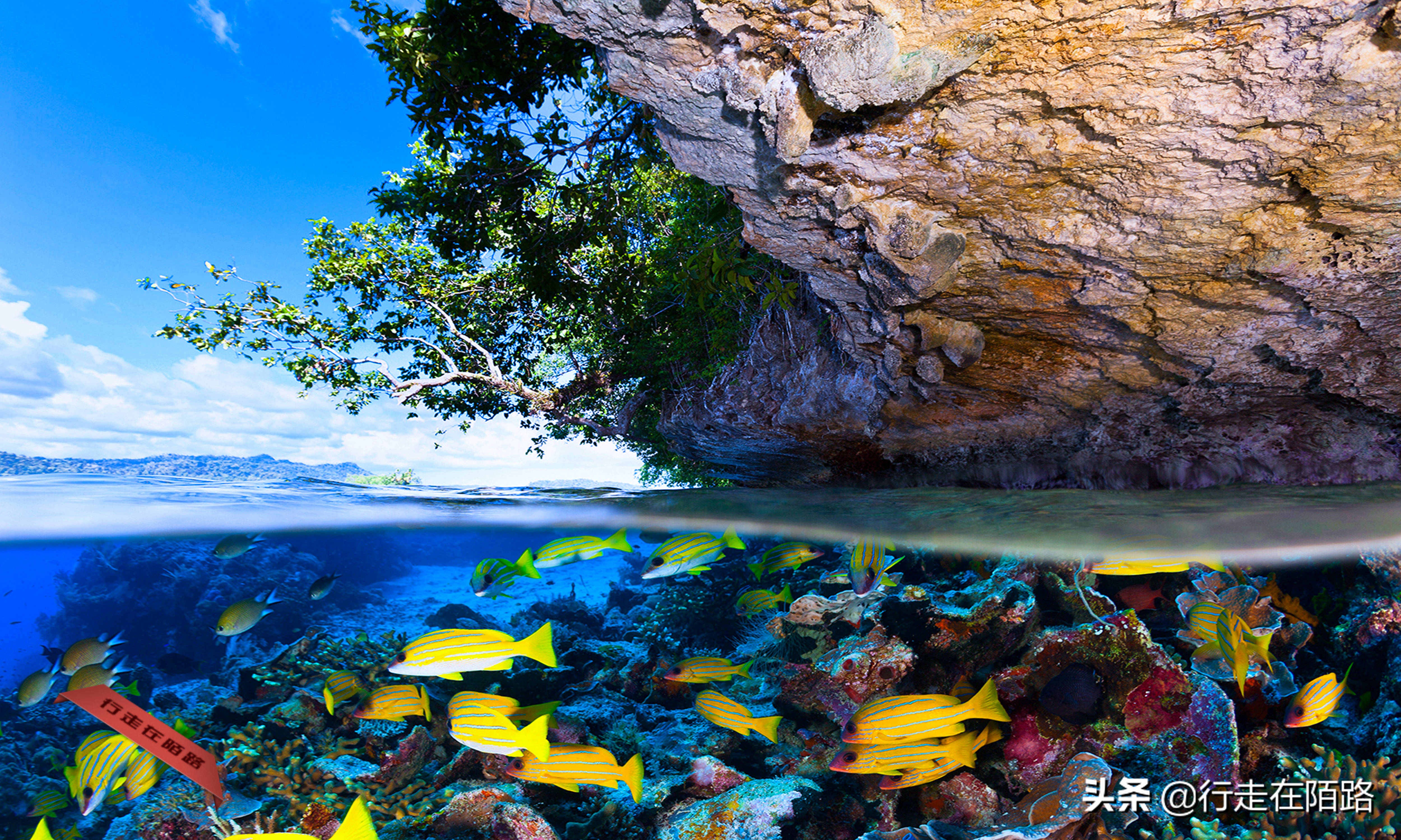 印度尼西亚四王岛旅游费用,四王岛和帕劳哪个好