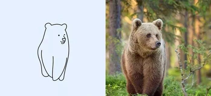 一波可爱动物简笔画,超火的简笔画动图