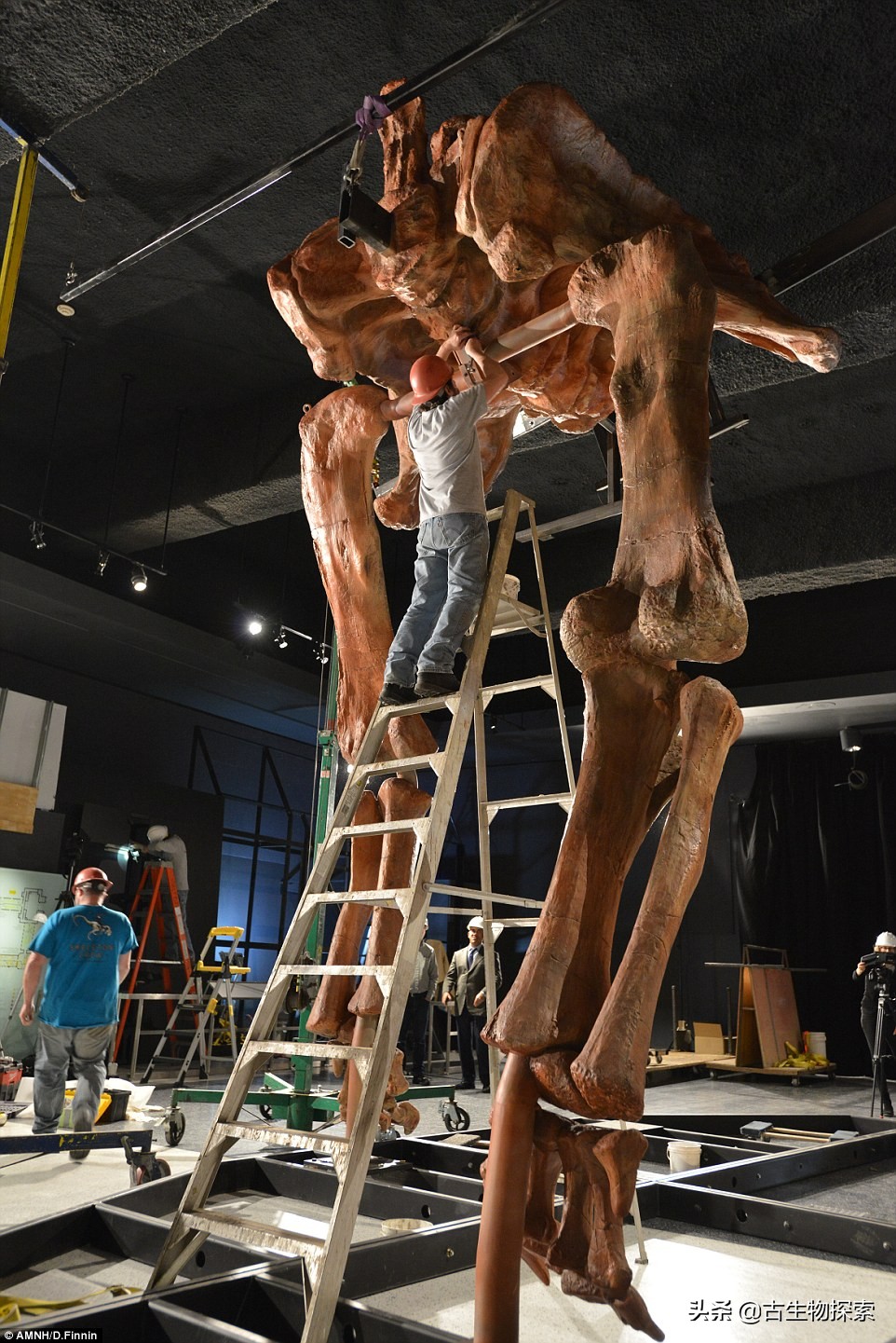 巴塔哥尼亚的巨兽纪录片,巴塔哥泰坦龙介绍