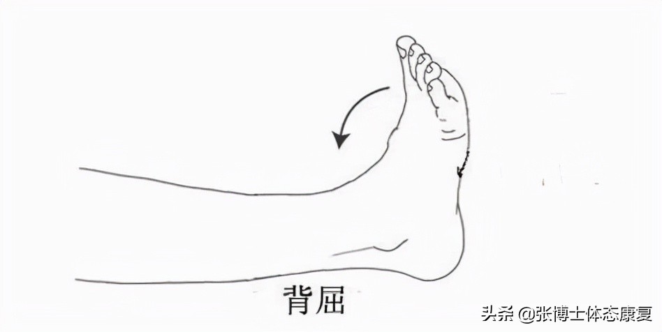 踝关节能力训练,增强踝关节灵活性训练方法