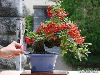 创业小项目获得资源,创业项目可以利用的资源