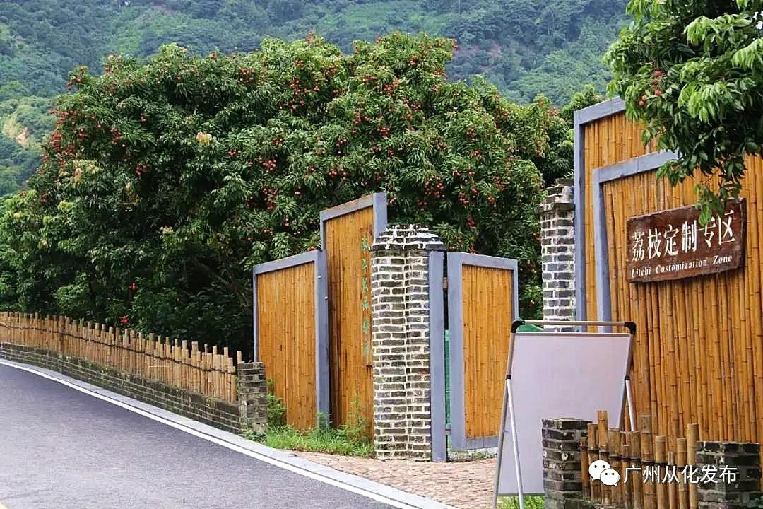 广州从化出游攻略,旅游广州从化乡村游热门目的地