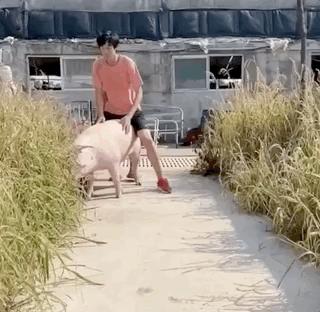 从跳高冠军到网红，张国伟已忘记2米39的一生追求了吗？拼命想红的他撂了国家队的挑子，但他的选择值得尊重