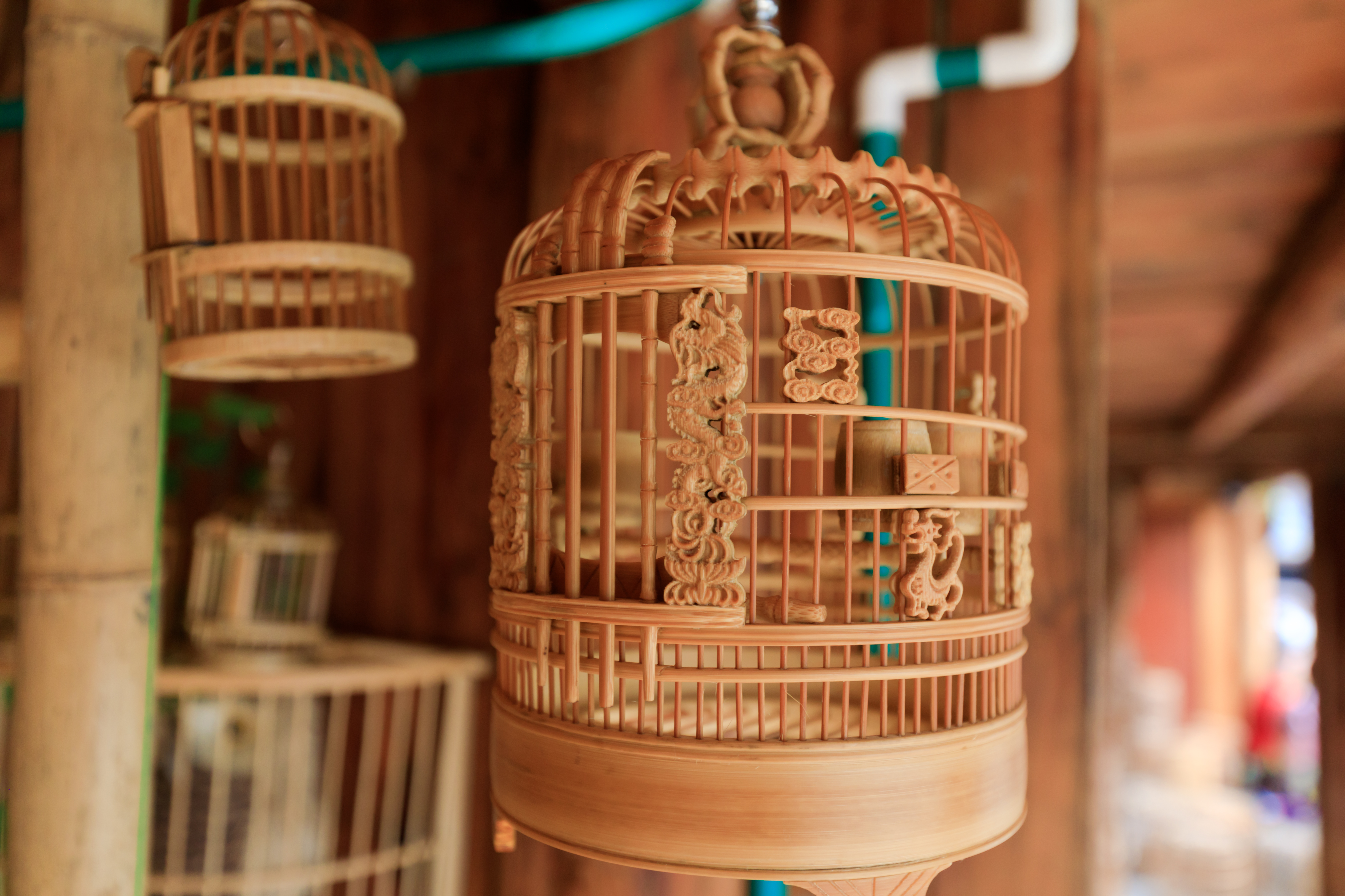 贵州人少景美的小村寨,贵州特点寨子