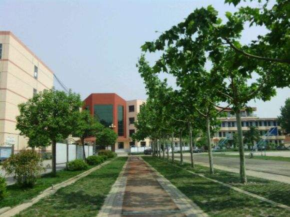 安泰中学发展前景,综合实力最强的10所高中