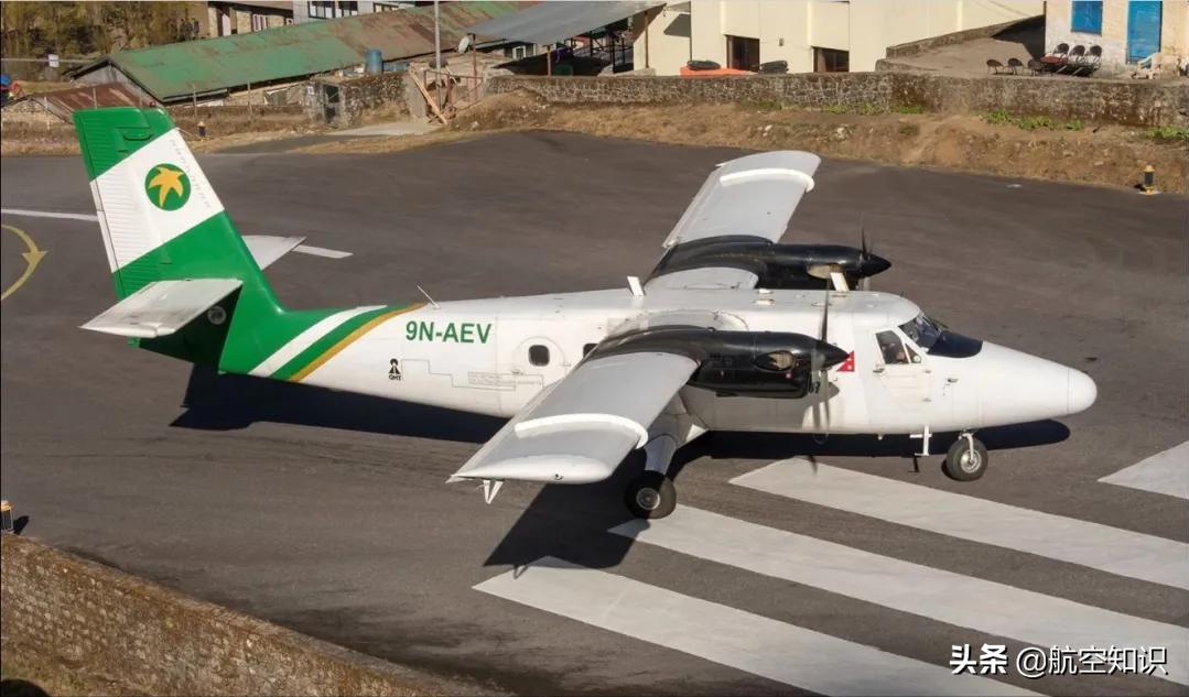 飞机制造商对动物的喜爱到底有多深？——德哈维兰加拿大