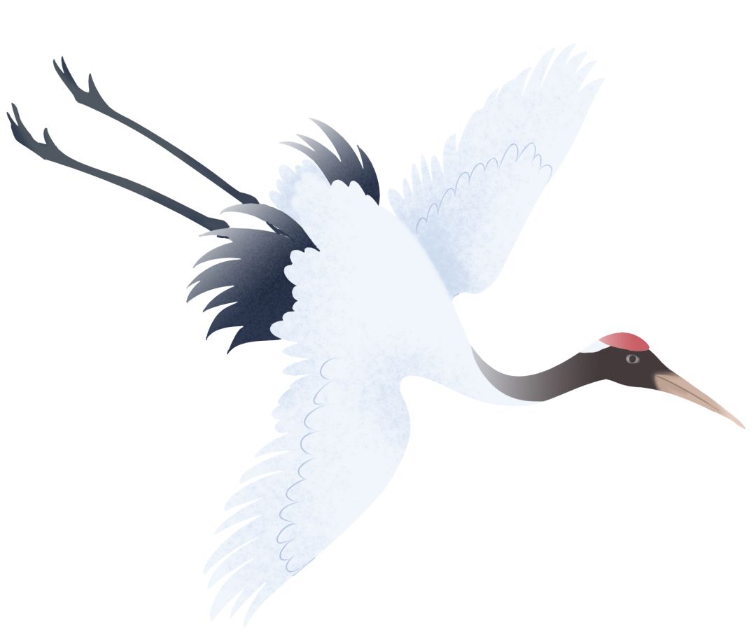 东升高沙幼儿园趣味运动会,南鹰幼儿园趣味运动会