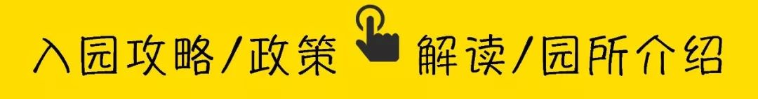 深圳双语幼儿园哪所比较好,深圳公立幼儿园学位充足