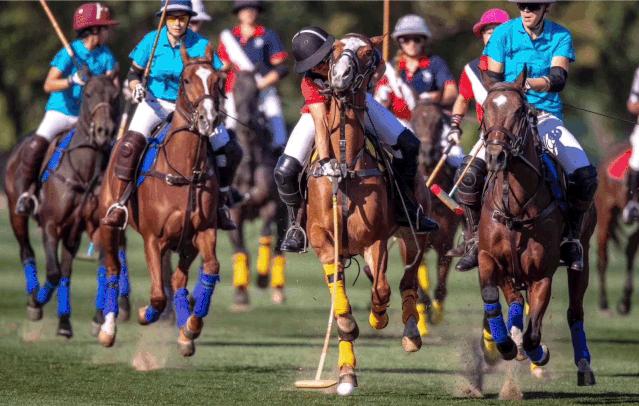 polo衫品牌拉夫劳伦,拉夫劳伦高端男士polo衫