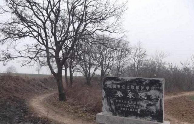 芈月墓惊现陕西奇珍异宝数不胜数,探索发现骊山寻古考古芈月墓