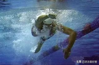 自由泳动作大全及详细讲解,自由泳技术动作详解