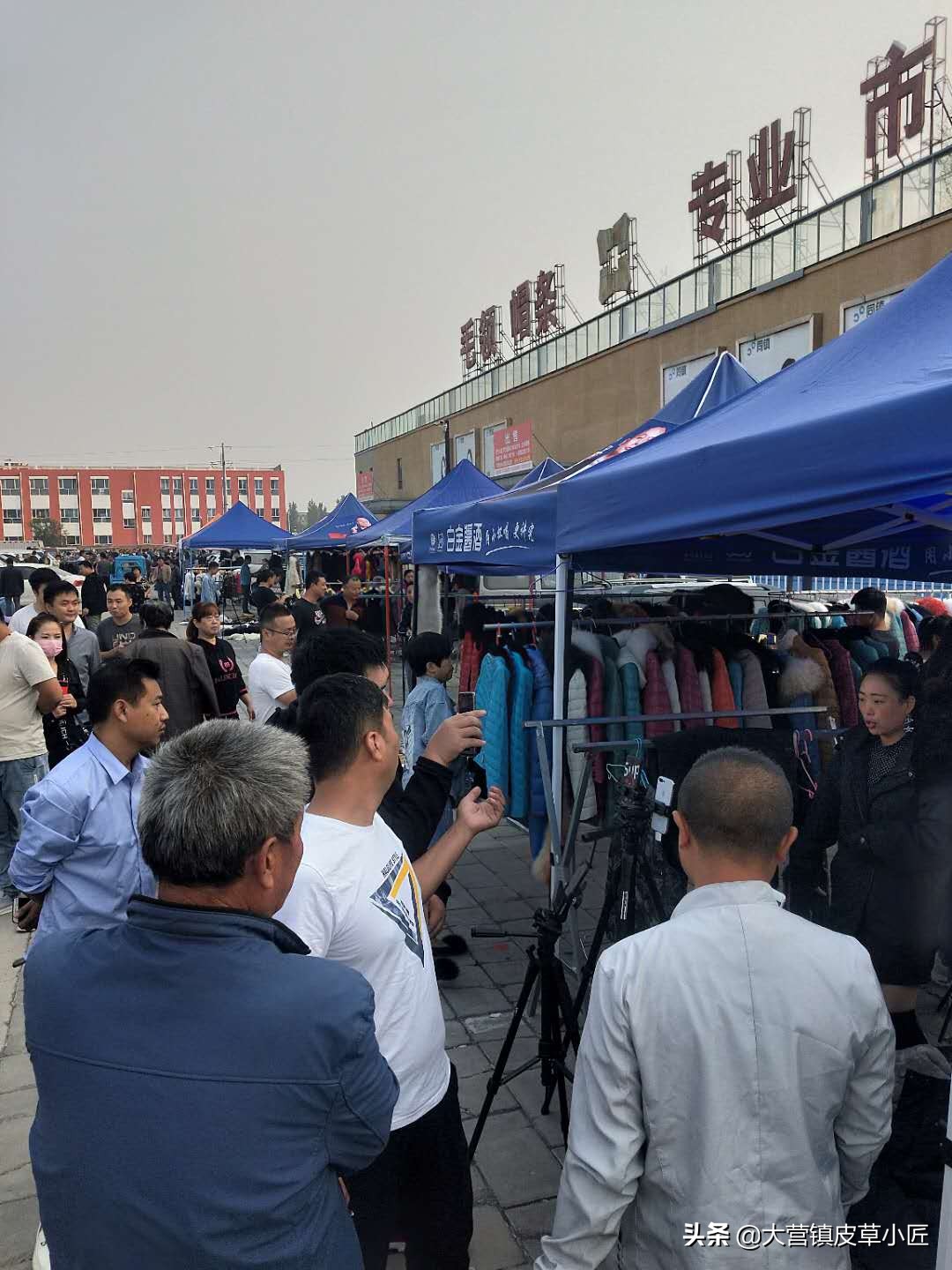 狐狸毛颜色排行,狐狸毛新品鉴赏