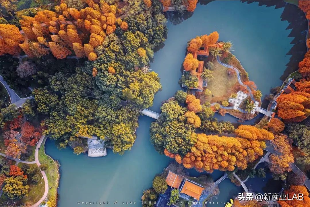 姝︽眽閰掑簵鑽掓紶,姝︽眽涓轰粈涔堣绉颁负閰掑簵鑽掓紶