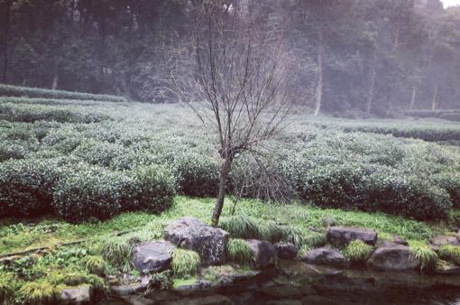 绍兴新昌一日游最佳景点,知否新昌取景地