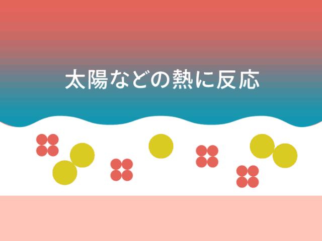 一年四季用的平价防晒推荐,给大家推荐一款超好用的防晒