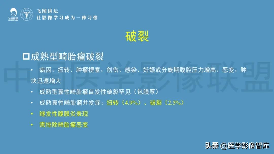 子宫解剖结构输卵管和卵巢位置,子宫附件ct影像学正常解剖表现