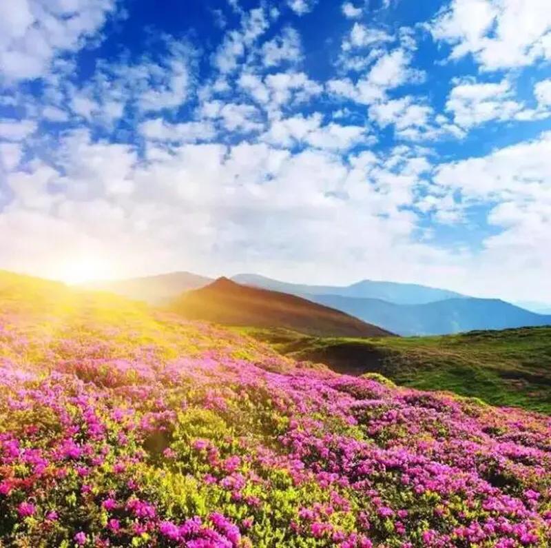 国庆节期间草根足球彝州相约康体休闲“一举两得”