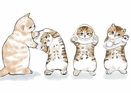 日本画师画自己家的猫,日本插画师画出养猫的日常