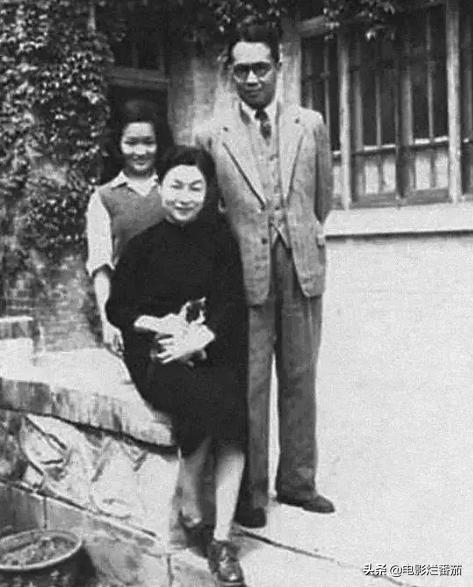 这部温情的撸猫片，让我哭得溃不成军，这是全世界猫*党**的胜利