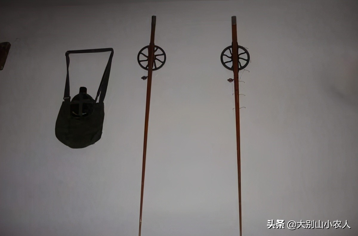 甲鱼枪打甲鱼浮头打什么位置,甲鱼枪打甲鱼全过程