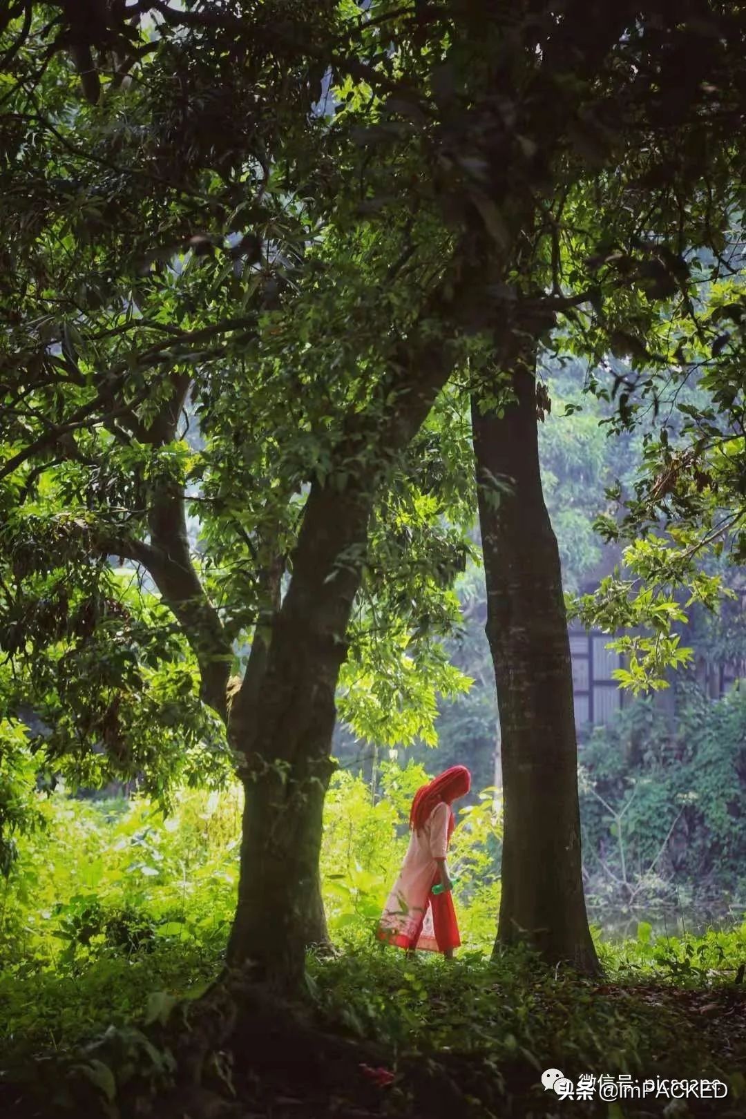 孟加拉国贫困与饥饿如何解决,孟加拉国艰巨的生存之路