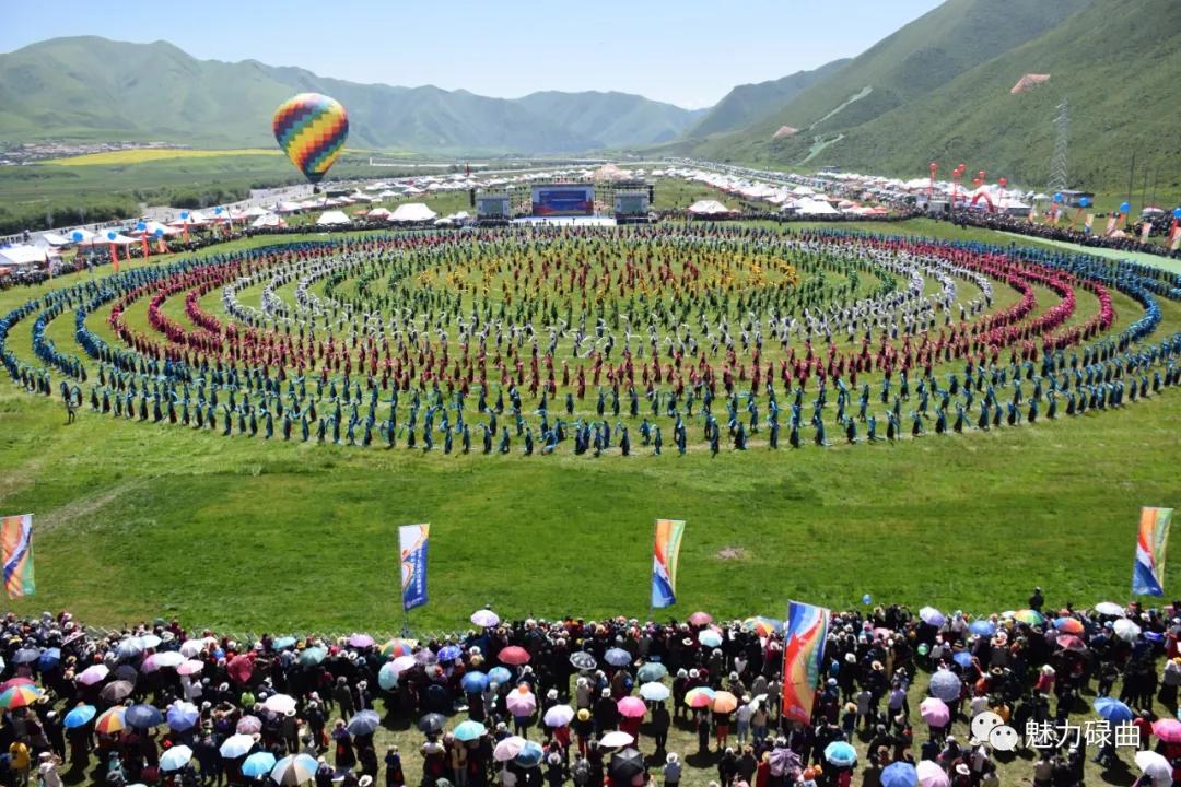 碌曲县召开重点工作汇报推进会,2022年碌曲项目