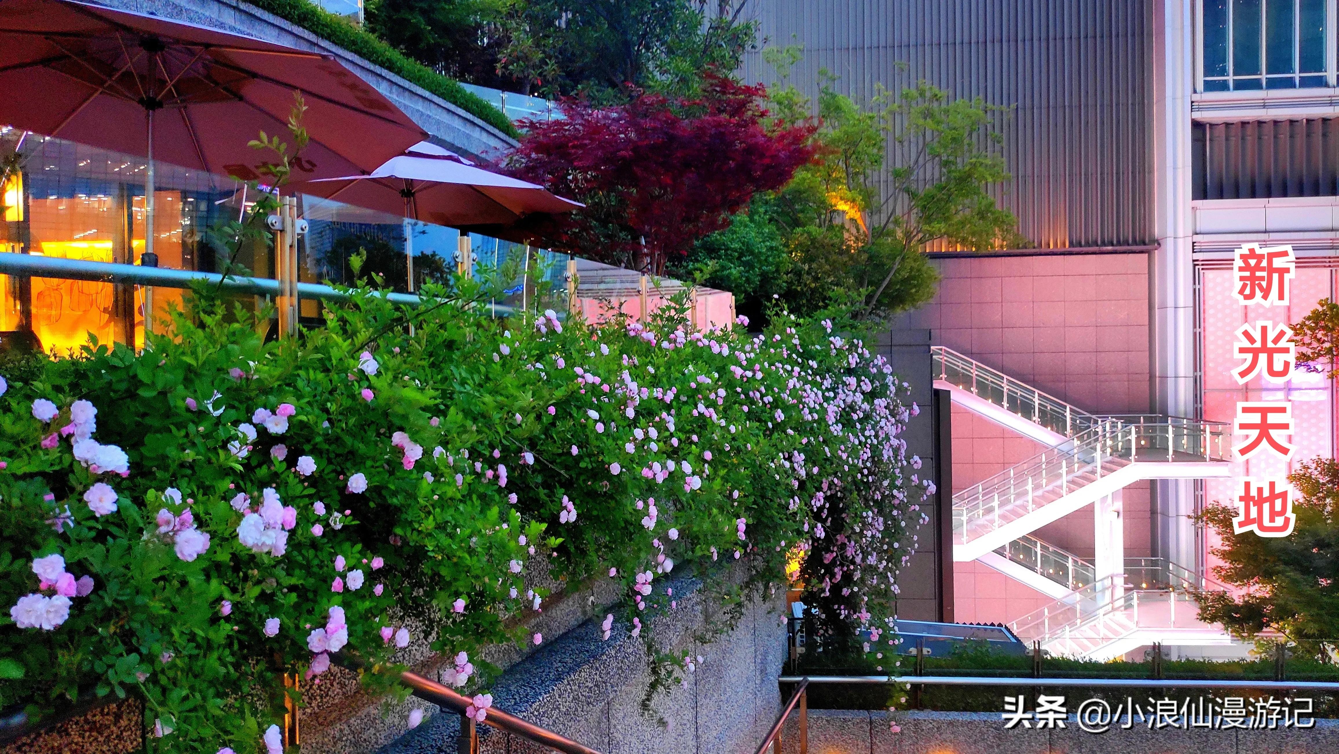 苏州春节免费景点有哪些,苏州景区免费景点大全