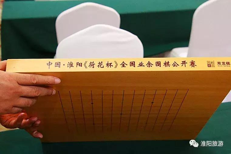 第二届荷花杯全国业余围棋公开赛,第二届明仕杯全国业余围棋比赛