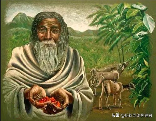 咖啡黑色素含量,咖啡黑色衣服