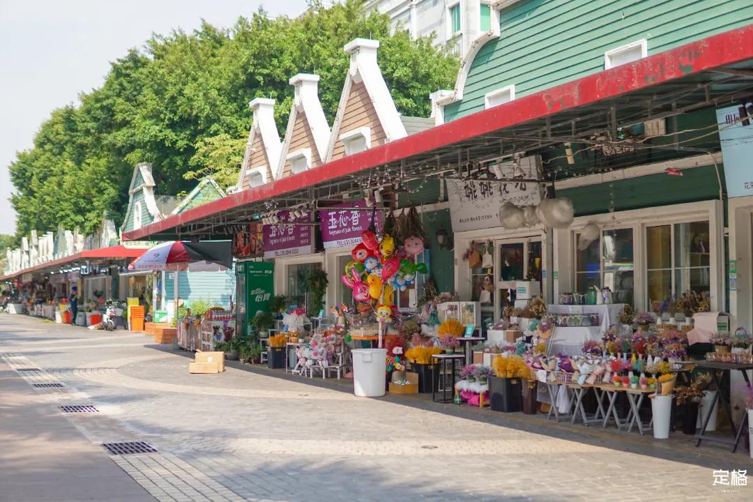 深圳周末打卡地点排行榜,深圳秋季打卡攻略