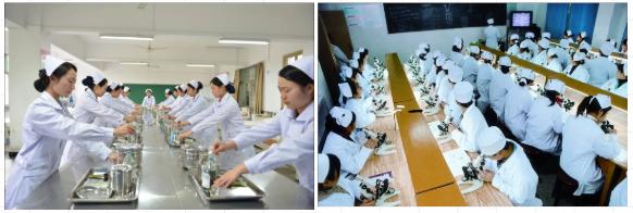 鄂大专业,鄂大有什么专业