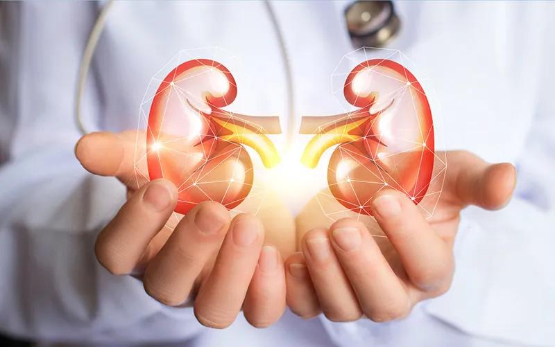 紫癜性肾炎一般要多久康复,紫癜性肾炎治疗多久能得到缓解