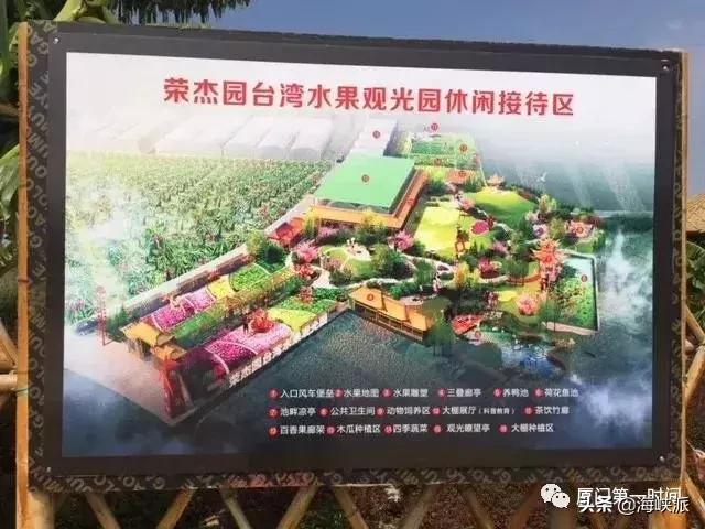 福建人喜欢吃芭乐,福建人喜欢吃芭乐吗为什么