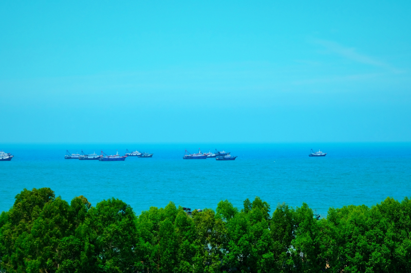 广东湛江景点及美食攻略,广东游记湛江市最美味的海鲜