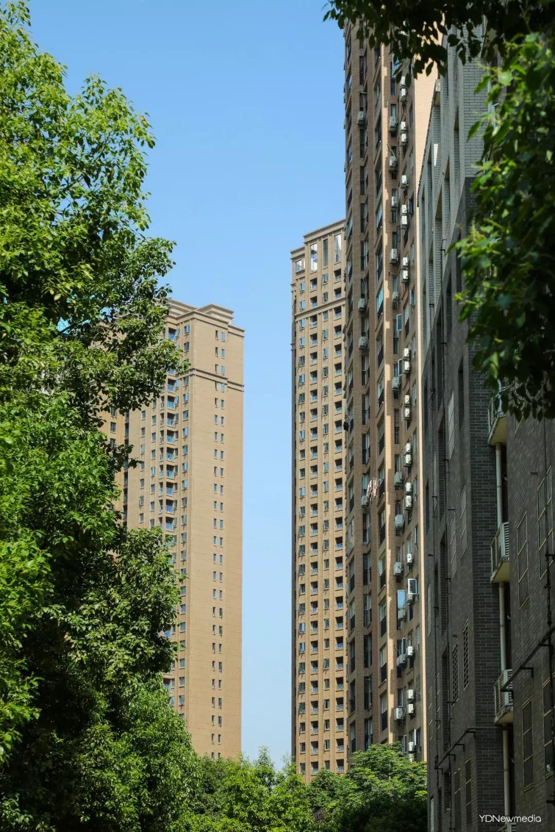 是我小瞧你了表情包,是我小瞧你了知乎