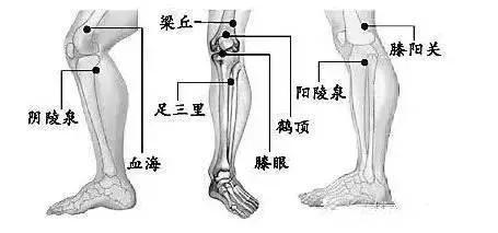 膝盖积液滑膜炎偏方,滑膜炎膝盖积液饮食要注意什么