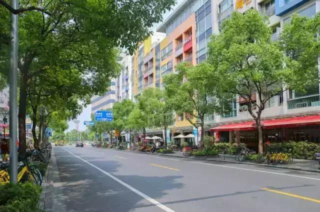 大局已定创业路何去何从,杨浦区的发展趋势