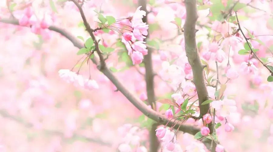 围炉夜话三大处世奇书是哪三本,完整围炉夜话处世奇书