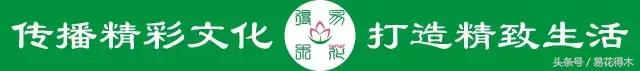 惊蛰适合播种哪些花木盆栽,惊蛰过后盆栽怎么养活好