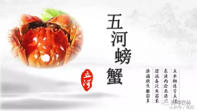 9.9两只阳澄湖大闸蟹你吃过么,正宗的阳澄湖大闸蟹精品